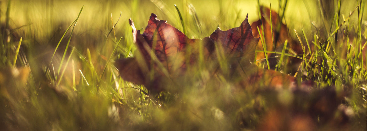 5 Ways to Keep the Summer Magic Alive All Year Long