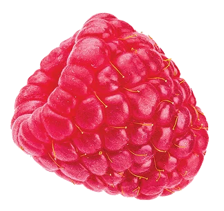 raspberry fruit