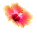 Deco 3